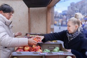 Садоводы Кубани просят полностью запретить импорт яблок и слив
