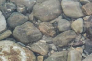 В реке Сочи нашли и уничтожили боевую гранату