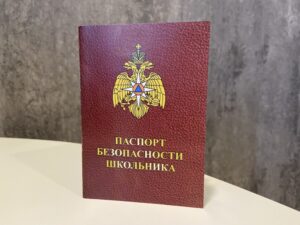 Ученики начальных классов Кубани получат паспорта безопасности школьника