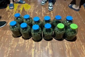 Пожилой житель Новороссийска заготовил 12 трехлитровых банок марихуаны