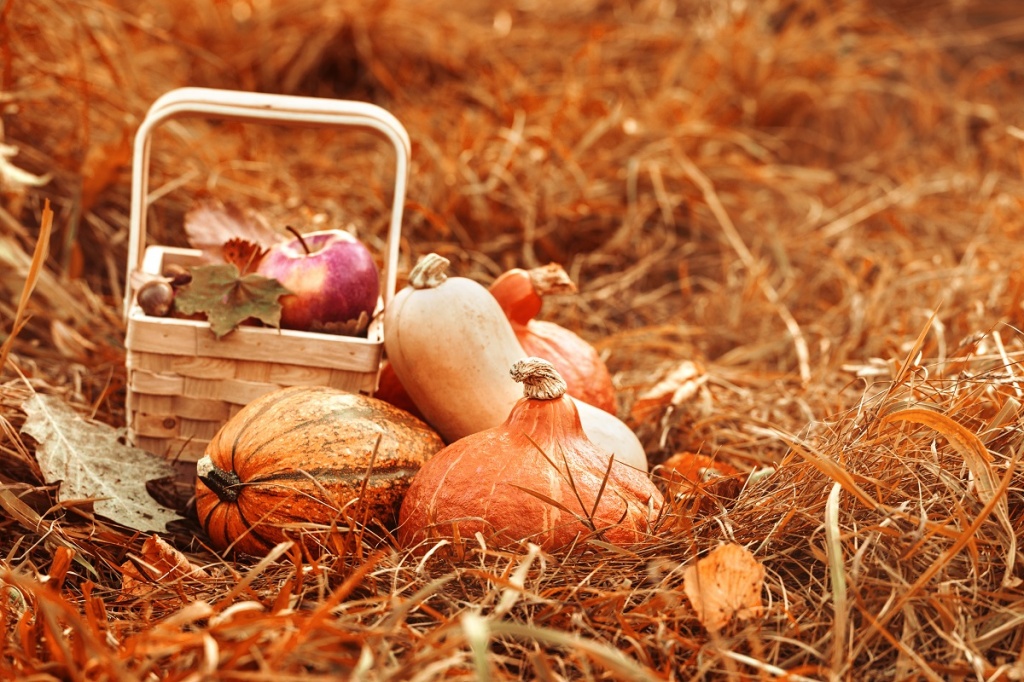 colorful-fruit-vegetables-autumn.jpg