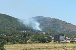 Житель Геленджика предотвратил лесной пожар