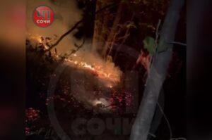 В Сочи ночью разгорелся пожар у заправки