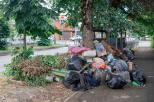 Жителей Краснодара приглашают на общегородской осенний субботник