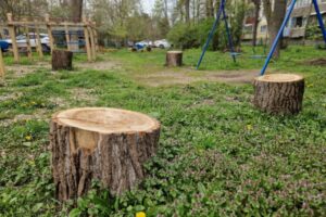В Туапсинском районе депутата обвинили в незаконной рубке леса