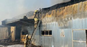 Крупный пожар в Северском районе Кубани потушили спустя 12 часов