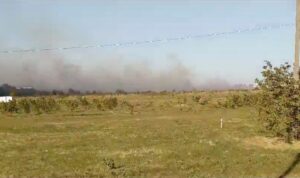 В Краснодаре горит поле на площади 1 тысяча «квадратов»