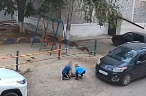 В Краснодарском крае дети пытались заживо закопать кошку