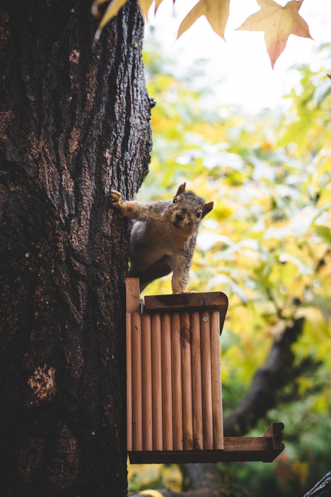 anthony-intraversato-pT_wQgZAIU8-unsplash.jpg anthony-intraversato-pT_wQgZAIU8-unsplash.jpg