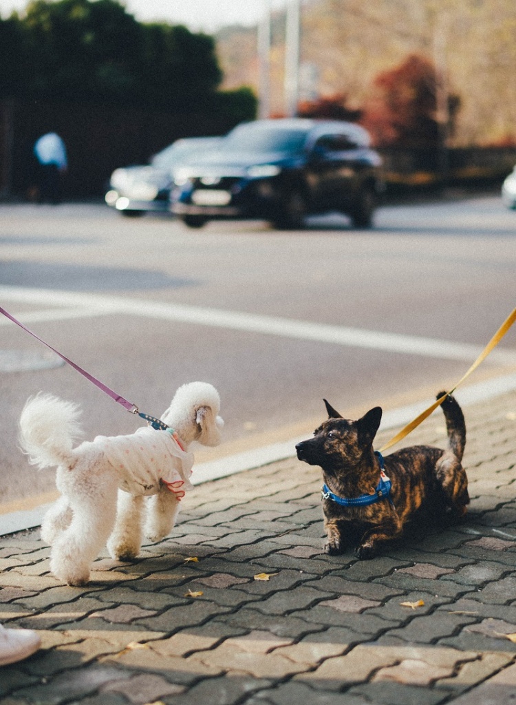 bundo-kim-NIKl5WwL-RE-unsplash.jpg