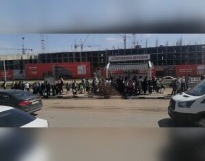 Петиция с просьбой вернуть школьные автобусы в Краснодаре набрала почти 22 тысячи подписей