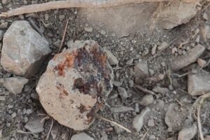 Строители повредили памятник археологии в Новороссийске