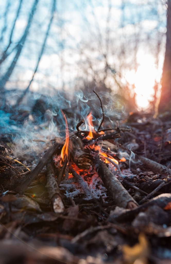 siim-lukka-XGMUmv_KoH8-unsplash.jpg siim-lukka-XGMUmv_KoH8-unsplash.jpg