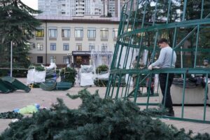 В Сочи начали устанавливать главную новогоднюю ель