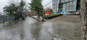 Экстренное предупреждение продлили до 3 декабря в Анапе