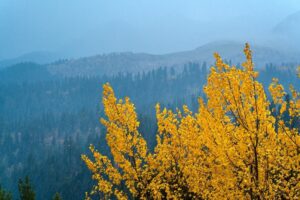 Холодный фронт остужает воздух на Кубани