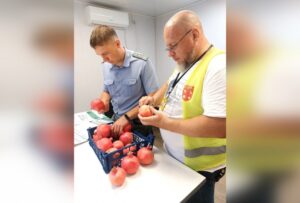 В октябре через порт Новороссийска ввезли более 91 тыс. тонн овощей и фруктов