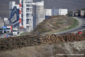 Вырубили 15 га леса и демонтировали памятник лесоводам под Новороссийском
