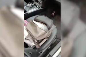 Полицейские изъяли у жительницы Кубани килограмм «синтетики» и садовую лопатку