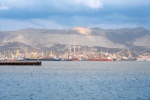 Мидии и устрицы помогли определить степень загрязнения нефтепродуктами акватории Новороссийска