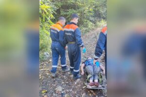 Женщина в Сочи оказалась обездвижена после укуса осы