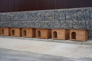 Первый на Кубани приют для бездомных животных открыли в Сочи