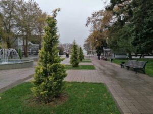 Чиновники Анапы 18 раз нарушили сроки рассмотрения жалоб граждан