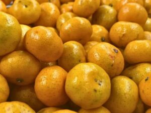 Более 272 тысяч тонн мандаринов ввезли через порты Кубани