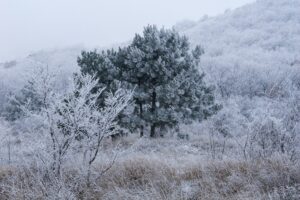 Циклон «Ваня» покажет Кубани американские горки