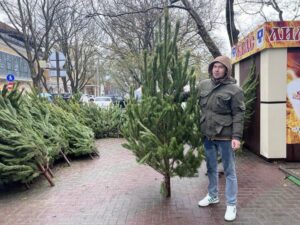 Метровая елка обойдется в тысячу рублей в Геленджике