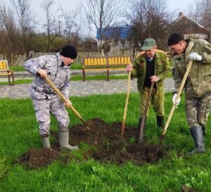 Аллею памяти СВО создали в Апшеронском районе