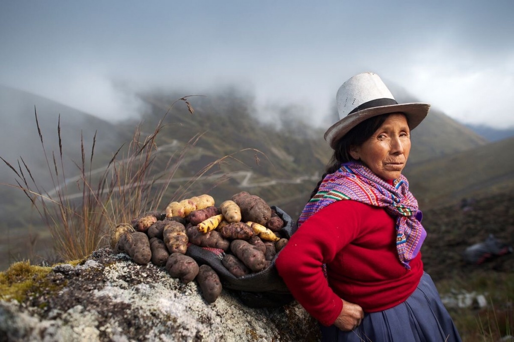 Фотопроект National geographic. Картофель инков