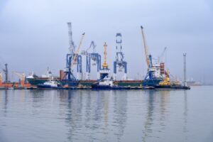 В порту Новороссийска за месяц выявили 142 карантинных объекта