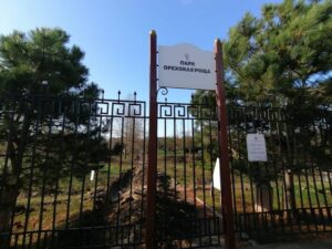 Открытие «Ореховой рощи» сдвинули на конец года в Анапе