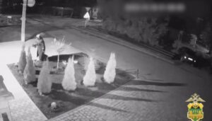 Пожилой хулиганке из Усть-Лабинска грозит пять лет тюрьмы за кражу туй, кипариса и куста лаванды