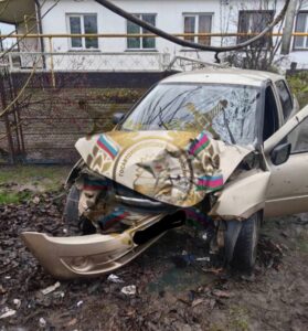 Выбежавшая на дорогу кошка спровоцировала аварию с пострадавшей на Кубани