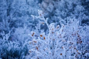 Приметы на 12 января: что категорически нельзя делать