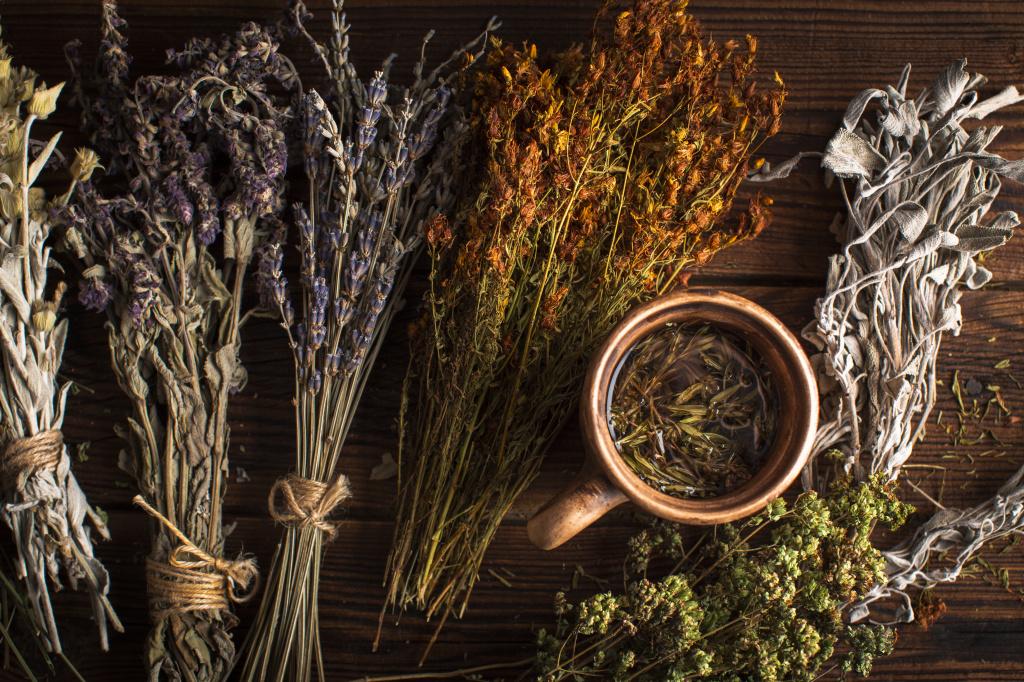 flat-lay-cup-of-herbal-tea-with-plants.jpg flat-lay-cup-of-herbal-tea-with-plants.jpg