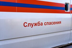 Жительница Апшеронска ушла на поиски козы и встретила Новый год в лесу