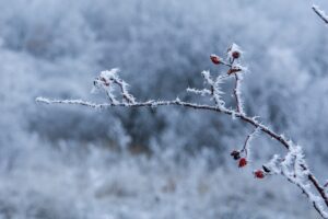 Температура воздуха опустится до -13⁰С в Сочи