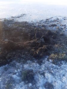 Дорогу между станицами Павловской и Ленинградской на Кубани перекрыли из-за спецмероприятий правоохранителей