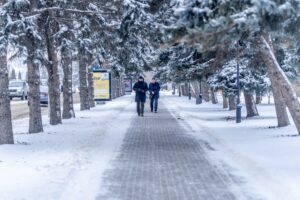 Семьдесят пять человек получили травмы из-за гололеда в Краснодаре
