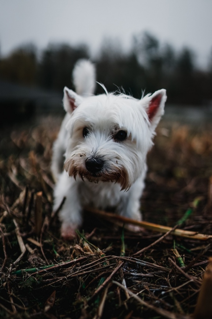 rick-gebhardt-_c7hWYN28m8-unsplash.jpg