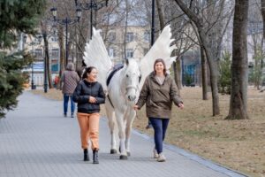 Как отдыхаем в феврале-2024: календарь выходных и праздничных дней