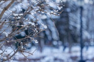 На Кубани вновь снежно и скользко