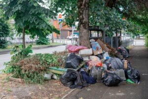 Мусорщику-нелегалу грозит до 120 тысяч рублей штрафа в Краснодаре