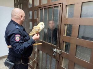 Фотографа с совой задержали в горах Сочи