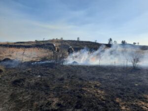 Сразу пять природных пожаров произошло в Краснодарском крае