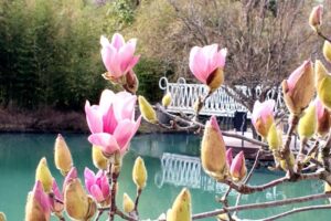 «Королева весеннего бала» проснулась в Сочи