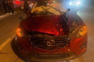 Семь человек погибли в ДТП на Кубани за выходные